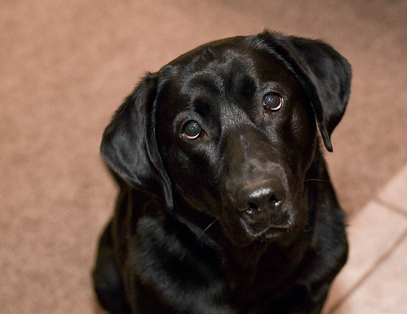 When you REALLY need a treat....