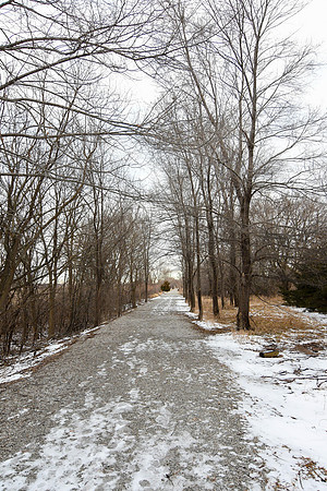 001/365 - Starting the year off right, with a photowalk!