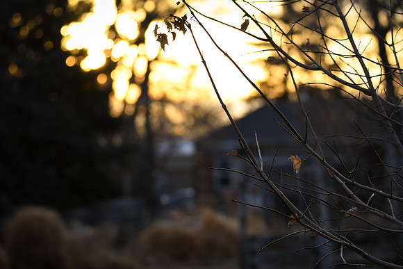 005/365 - Couldn't resist the gorgeous light tonight