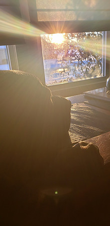 018/365 - Saturday mornings with Hershey!